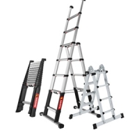 Teleskopleiter