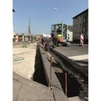 SCHAKE Schnurpfahl Durchmesser: 16 mm Länge: 800 mm 301608 Schnurnagel Schnureisen