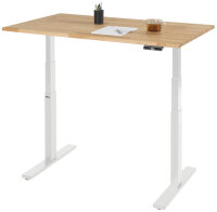 RAU Schreibtisch adlatus 100, B1250xT800xH650-1300mm, lichtgrau, B-Platte-25 mm, 08-ST-125-080-7035-B