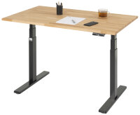 RAU Schreibtisch adlatus 100, B1250xT800xH650-1300mm,...