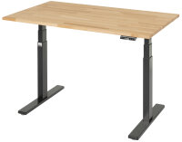 RAU Schreibtisch adlatus 100, B1250xT800xH650-1300mm,...
