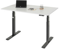 RAU Schreibtisch adlatus 100, B1250xT800xH650-1300mm,...