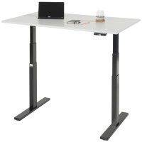 RAU Schreibtisch adlatus 100, B1250xT800xH650-1300mm, tiefschwarz, M-Platte-22 mm, 08-ST-125-080-9005-M
