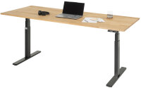 RAU Schreibtisch adlatus 100, B2000xT800xH650-1300mm,...
