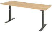 RAU Schreibtisch adlatus 100, B2000xT800xH650-1300mm,...