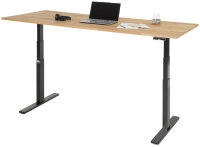 RAU Schreibtisch adlatus 100, B2000xT800xH650-1300mm, tiefschwarz, B-Platte-25 mm, 08-ST-200-080-9005-B