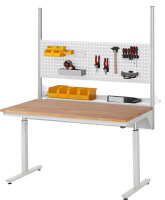 RAU Arbeitstisch elektrisch höhenverstellbar, B1000xT800xH720-1120mm, S-Platte-25 mm, 08-AT-100-080-S