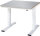 RAU Werktisch elektrisch höhenverstellbar, B1000xT1000xH720-1120mm, ES-Platte-28 mm, 08-WT-100-100-ES