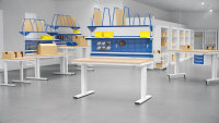 RAU Werktisch elektrisch höhenverstellbar, B1000xT1000xH720-1120mm, F-Platte-22 mm, 08-WT-100-100-F