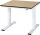 RAU Werktisch elektrisch höhenverstellbar, B1000xT1000xH720-1120mm, F-Platte-22 mm, 08-WT-100-100-F