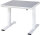 RAU Werktisch elektrisch höhenverstellbar, B1000xT1000xH720-1120mm, F-Platte-25 mm, 08-WT-100-100-L