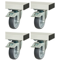 RAU Rollensatz für Serie adlatus 300+600, 4...