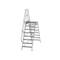 MUNK Überstieg 60° Stufenbreite 800 mm 8 Stufen,...