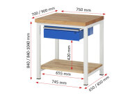 RAU Werkbank höhenverstellbar 8001A7, B750xT900xH840-1040mm, 1xSchublade-TA, 03-8001A7-079B4H.11