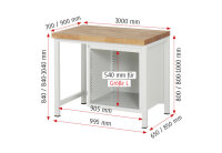 RAU Werkbank 8152A1, B1000xT700xH840mm, 1xSchublade-TA, 1xTür, 03-8152A1-107B4S.11