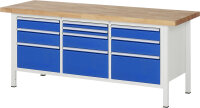 RAU Werkbank höhenverstellbar 8576A2,...