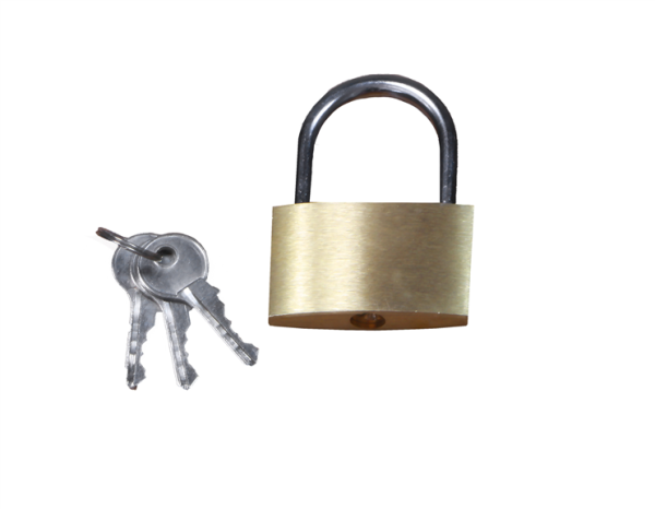 Zylinder-Vorhängeschloss, 50 mm - PROFIBAU