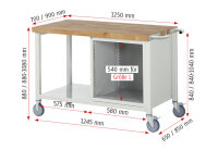 RAU Fahrbare Werkbank 8152, B1250xT900xH880-1080mm, 1xSchublade-TA, 1xTür, 05-8152A6-129B4H.11