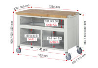 RAU Fahrbare Werkbank 8922, B1250xT900xH920-1120mm, 5xSchublade-TA, 1xTür, 05-8922A2-129B4H.11