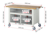 RAU Fahrbare Werkbank 8922, B1500xT700xH920-1120mm, 5xSchublade-TA, 1xTür, 05-8922A2-157B4H.11