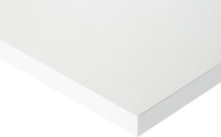 RAU Arbeitsplatte Eterlux-Belag, B1000xT900xS40 mm,...