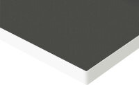 RAU Arbeitsplatte Trovidur-Belag, B1000xT900xS40 mm,...