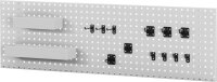 RAU Lochplatte zur Wandmontage, B1250xT15xH450mm, 2...
