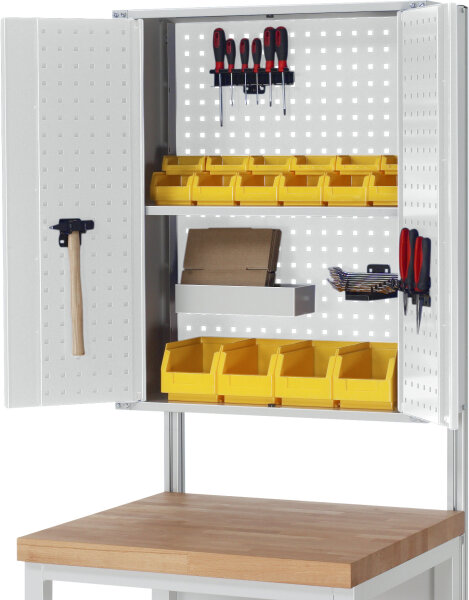 RAU Flügeltürschrank / Hängeschrank, B750xT250xH900mm, RAL7035/RAL7035, EE-FTS-750.12