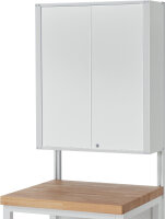 RAU Flügeltürschrank / Hängeschrank, B750xT250xH900mm, RAL7035/RAL7035, EE-FTS-750.12