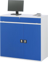 RAU Computer-Schrank 60, B1100xT520xH1060mm, stationär, 07-1100-M60.11