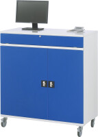 RAU Computer-Schrank 60T, B1100xT520xH1185mm, mobil,...