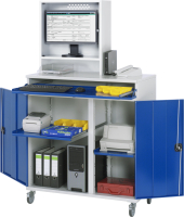 RAU Computer-Schrank 65T mit Monitorgehäuse T250mm,...