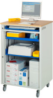 RAU Computer-Station 2050, B720xT660xH1140mm, mobil,...