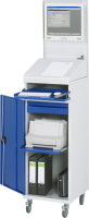 RAU Computer-Schrank 61, B450 x T520 x H1895 mm, mobil,...