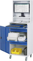 RAU Computer-Schrank 66 mit Monitorgehäuse T250mm,...