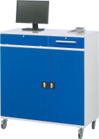 RAU Computer-Schrank 99, B1100xT520xH1185mm, mobil, 07-1100T-M99F.11