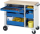 RAU Werkzeugwagen 10460, B1025xT520xH890mm, 6xSchublade-VA, Buche-Top-25mm, 02-10460B.11