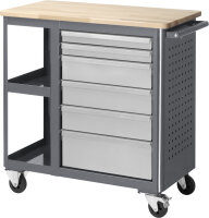 RAU Rollwerkbank 6010, B960xT450xH950, 6xSchubladen,...