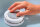 Magnethalterung für Rauchmelder - AS SCHWABE