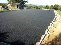 TERRA-GRID E® 35 Rasengitter für Reitplatz | Reitsport | Auslaufplatz | Reitplatzbau | Reithalle | Führanlage | Longierzirkel | Roundpen- Rasengittersteine Paddockplatten Paddockplatten