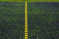 TERRA-GRID E® 35 Fahrgitter für Flugplatz | Hubschrauberlandeplatz | Sicherheitsstreifen | Seilrückholstrecke | Rollweg - Rasengitter Rasengittersteine Paddockplatten Paddockplatten