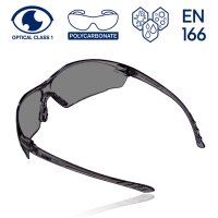 Dräger X-pect 8321 Schutzbrille R58269 Grau, 10 Stück, Anti-Beschlag, Anti-Kratz