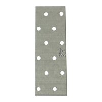 Profibau Lochplatte BS100-672 verzinkt, 2,0 mm Stärke