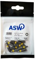 Profibau Torx Bits BS100-841...