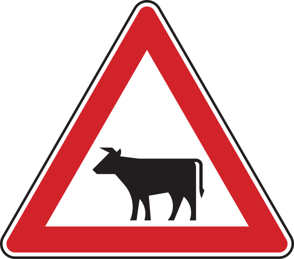 Viehtrieb, Aufstellung rechts