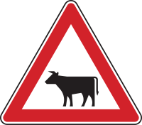 Verkehrszeichen 101-12 „Viehtrieb, Aufstellung...