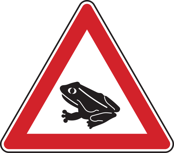 Amphibienwanderung, Aufstellung rechts