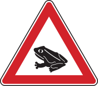 Amphibienwanderung, Aufstellung rechts