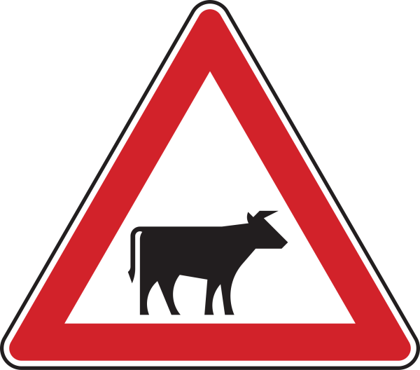 Viehtrieb, Aufstellung links