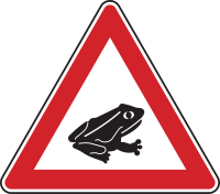 Amphibienwanderung, Aufstellung links